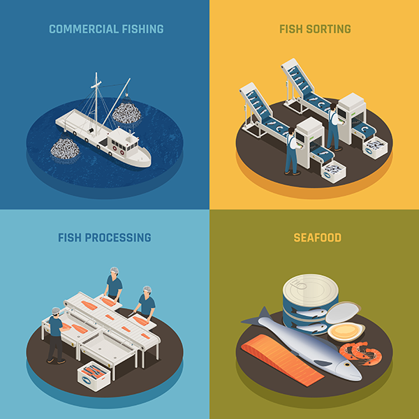 End-to-End Solutions for Seafood Importers